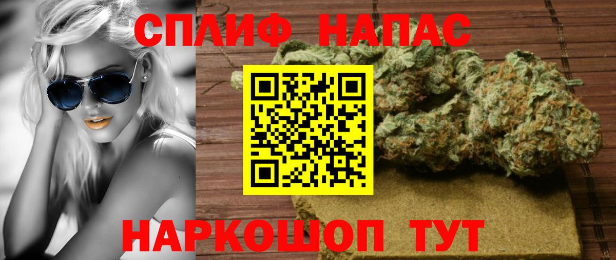 Конопля индика Заволжье